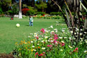 The garden at Jakhalsdans Karoo Farm